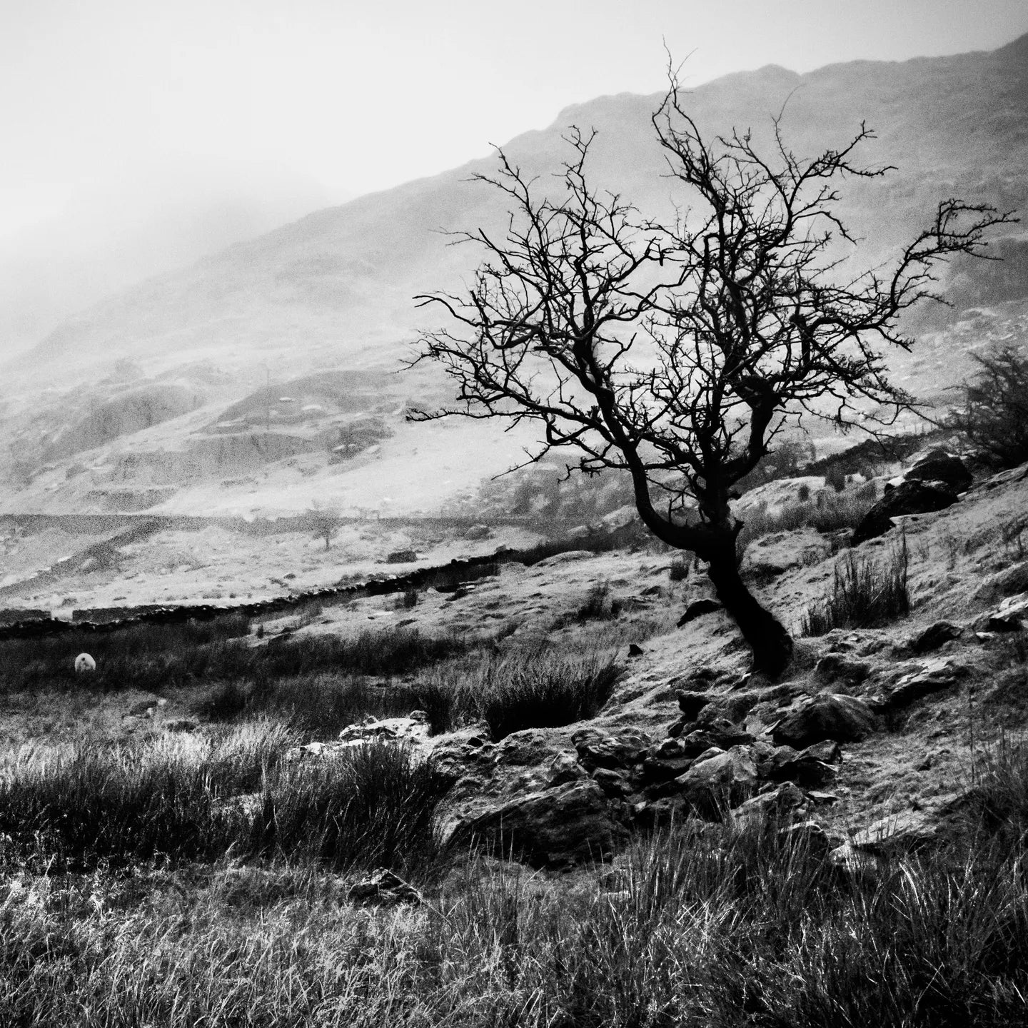 The World of Interiors: Rare Wuthering Heights First-Edition Discovered in Hollywood