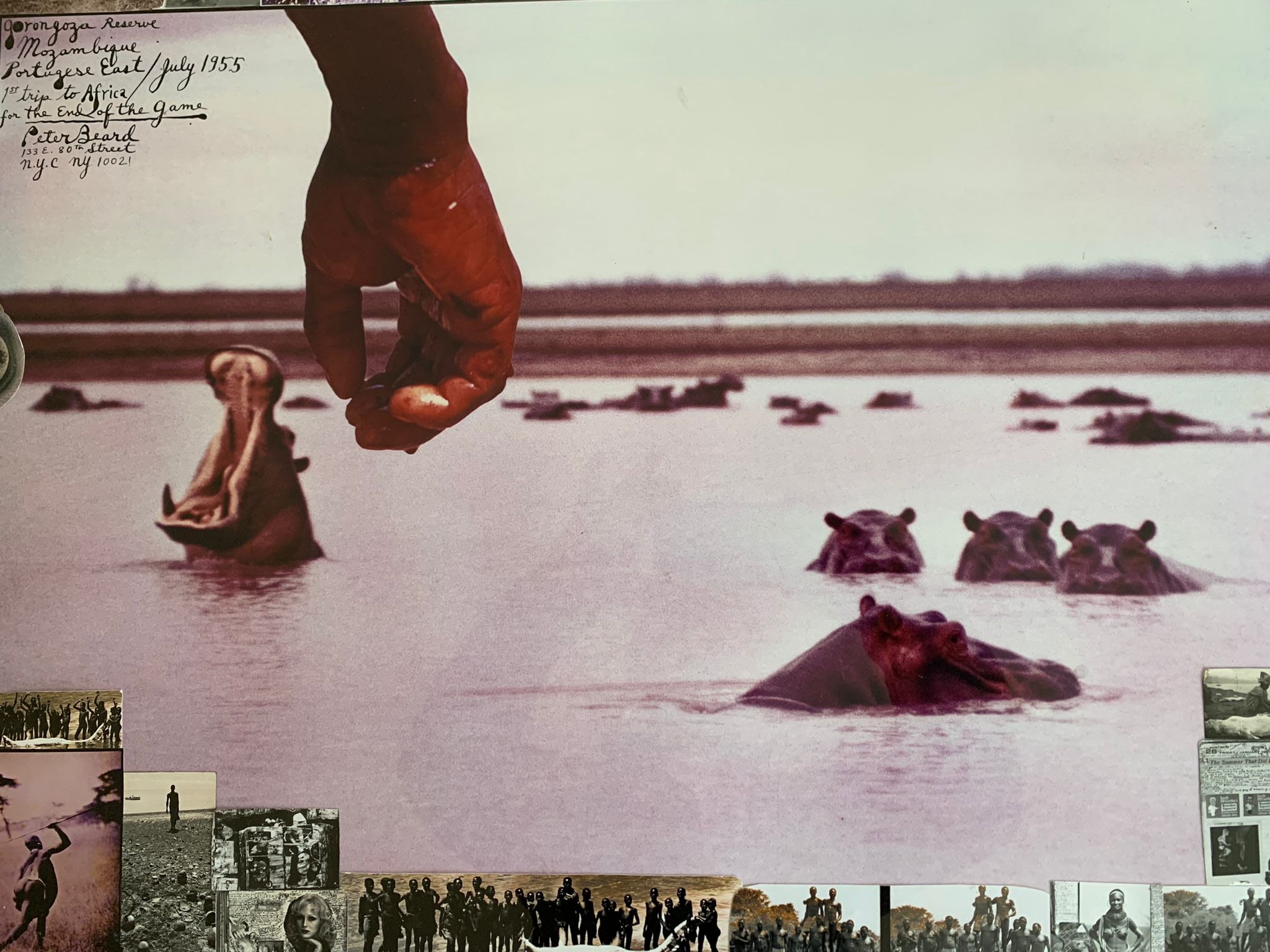 Original Peter Beard Artworks and Photography